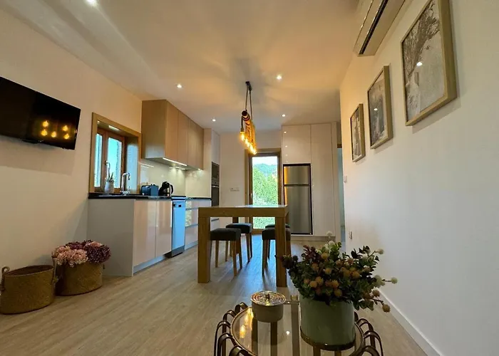 Refugio Do Espigueiro 公寓